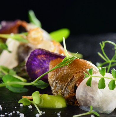 Experiencias gourmet